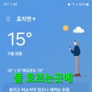 미련곰탱이 이미지