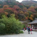 온누리감리교회 앞 이미지