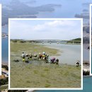 토끼와 거북이길 이미지