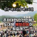 원주 에브리씽 페스티벌 연세대 축제 라인업 주차 후기