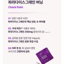 데이즈온 파라다이스 그레인 버닝 관리 루틴으로 시작한 에너지버닝 후기