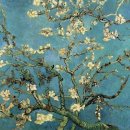 별이빛나는밤 이미지