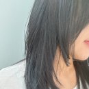 동명헤어라인 이미지