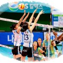 도화체육관 이미지