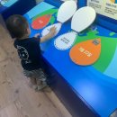 햇볕쨍어린이집 이미지