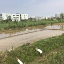 한국농수산대학교 네이버블로그