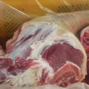 황혼농장 이미지