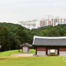 '왕릉뷰' 김포 장릉 아파트 결국 법정 간다 이미지