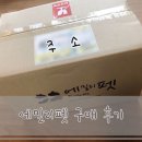 에밀리펫 이미지