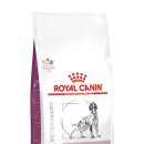 대웅동물병원 이미지