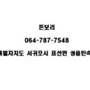 돈보리 이미지
