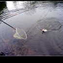 소로낚시터 이미지