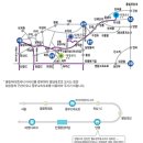 상주초등학교 단합대회 이미지