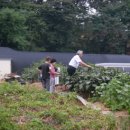 천화농장 이미지