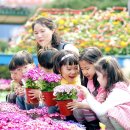 북구청 앞 광장 이미지