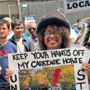 시장마차 이미지