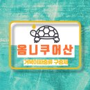 거북이약국 이미지