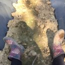 하늘재농원 이미지