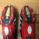 엡솔루트 이미지