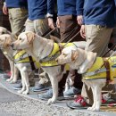 목감시티동물병원 이미지