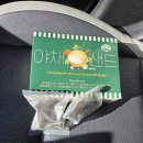 보말칼국수 먹고 싶은데 이미지