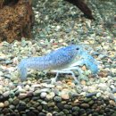 허숙희네 이미지