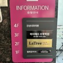 진주 평거동 | 케어부터 디자인까지 진주평거동 미용실 “라트리헤어스파힐”