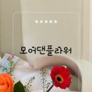 모어댄플라워 이미지