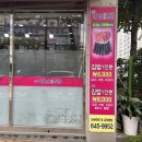 이모손충무김밥 이미지