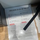 그랜드모먼트유스호스텔 | [부산/대연동] 나는 그저 우리 세 사람 각자의 침대...빡친 - 그랜드모먼트 유스호스텔(프리미엄 트리플...
