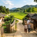 휴일엔펜션 | 거창 병곡마을 — 분홍빛 수양벚꽃이 쏟아지는 숨겨진 봄 명소