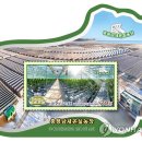 양덕농장 이미지