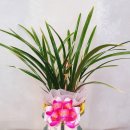 부산광역시 동구 범일로 이미지