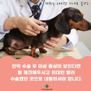 곤지암 동물병원 이미지