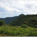 수침천 이미지