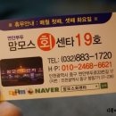 맘모스19호