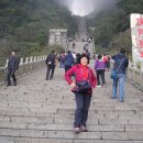 스마일여행사 이미지