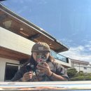 유빈민박 이미지