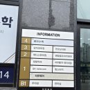 아우룸네일 이미지