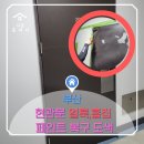 아스티오피스텔 후문 주변 | 부산 아스티부산 오피스텔, 현관문 페인트 복구 도색