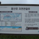 몽산포 야영장 이미지