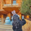 바보사 | 상해 상하이 디즈니랜드 재입장 티켓 등록 방법 DPA 팁 + 클룩 할인코드