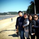 카덴자펜션 Daum카페