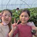 계명대K태권도장 이미지