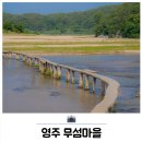 닭실마을 | 영주 무섬마을 주차 외나무다리 경상도 여행 가볼만한곳