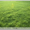 세원농장 이미지