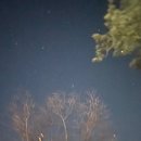 안성 내츄럴리조트 | 안성 내츄럴리조트 애견캠핑장ㅣ동계캠핑 떠나자 애견전용 캠핑장 솔직후기, 만나카페 247 방문기까지!