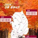 2024 단풍시기 (예상시기와 절정시기) 이미지