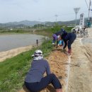 율면 행정복지센터 이미지