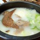 양지 이미지